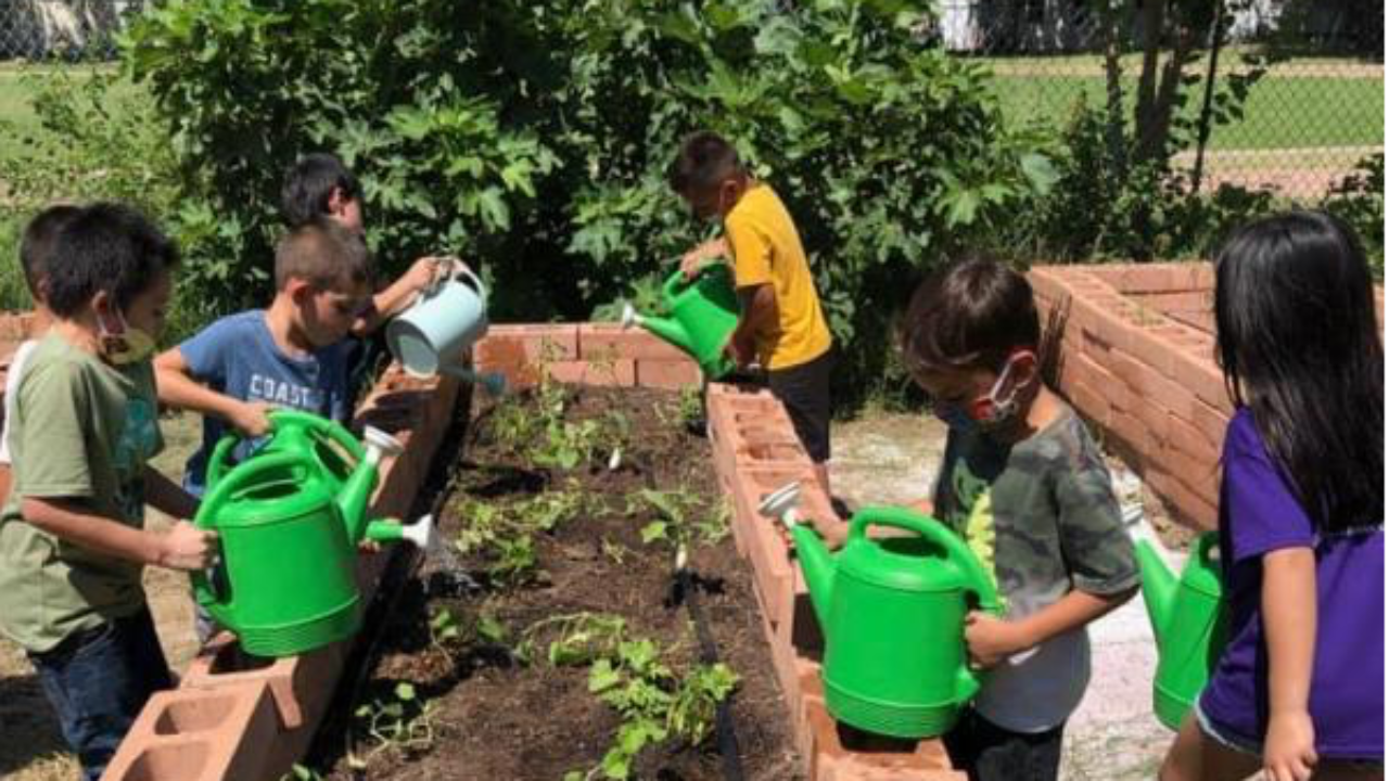 Community Garden Workparty