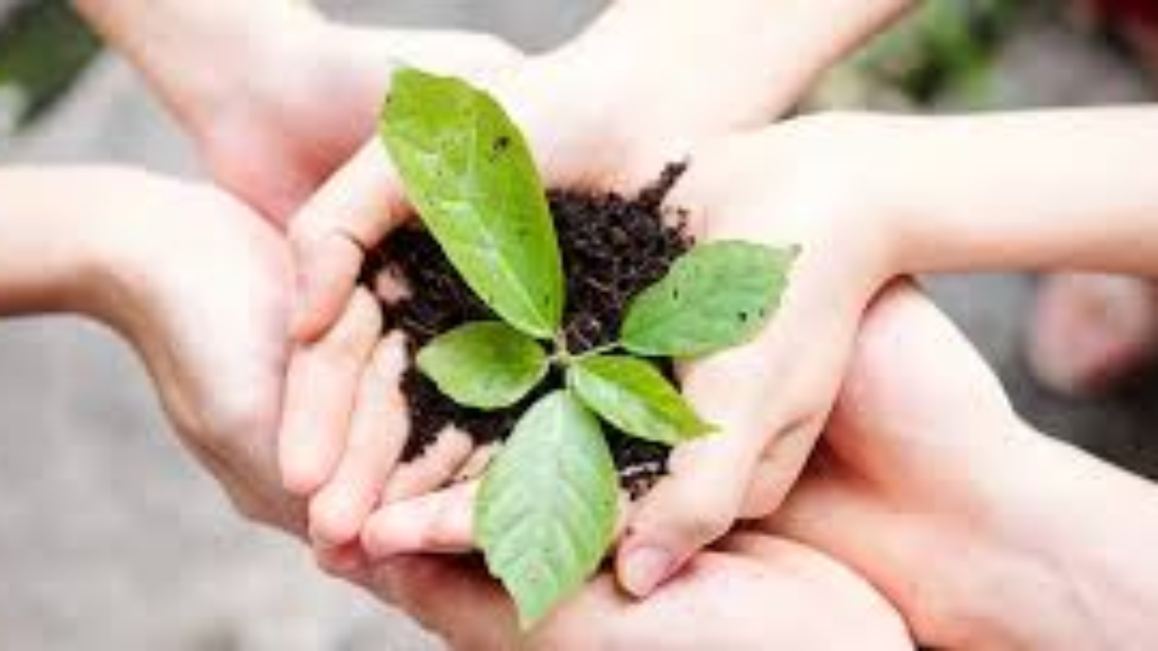 Santa Cruz Watershed Days of Connection and Caring at Juhan Park