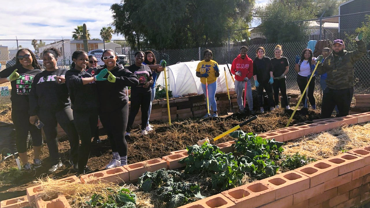 Community Garden Volunteering